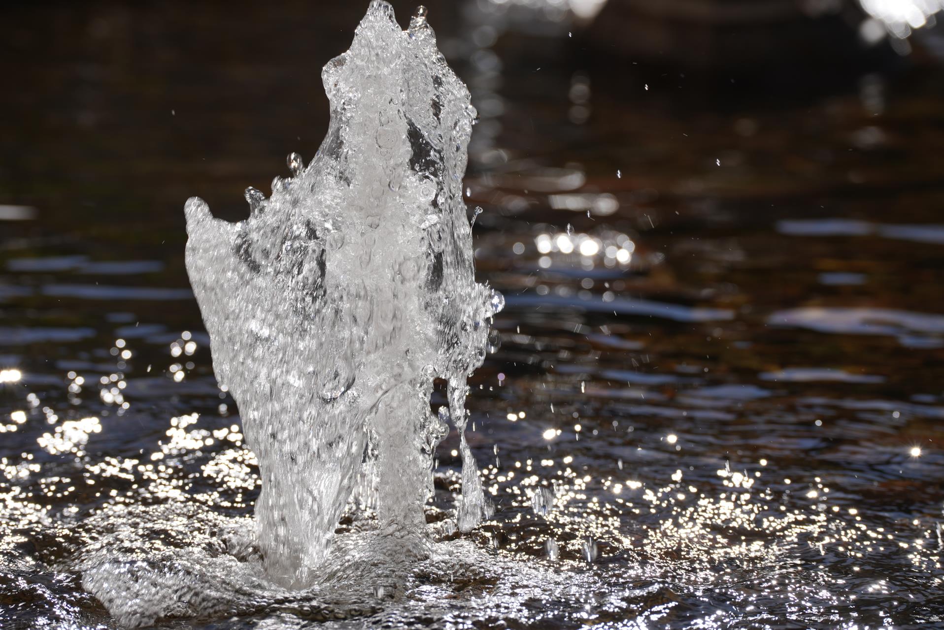 Water